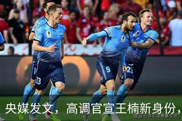 央媒发文，高调官宣王楠新身份，资产查封被带走调查传闻早有真相