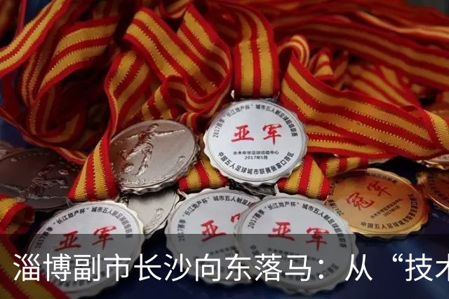 淄博副市长沙向东落马：从“技术型”干部到任上被查的警示